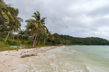 Phu Quoc Adası yosun ve çöp plaj sahil şeridi