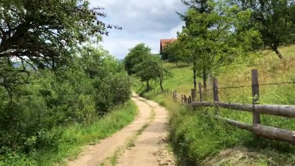 Landschap Van Landelijke Weg Servische Natuur Een Zomerdag Camera Gaat — Stockvideo