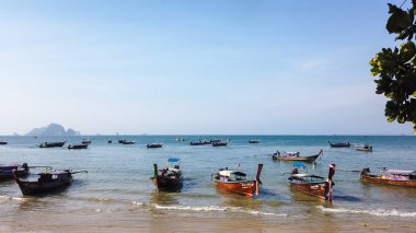 Ao Nang, Krabi, Tayland - 21 Ocak 2019: Birçok Tay uzun kuyruk geleneksel tekne deniz güneşli bir plaj su