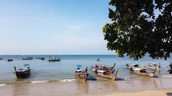 Ao Nang, Krabi, Tayland - 21 Ocak 2019: Tay uzun kuyruk geleneksel tekneler deniz güneşli bir plaj su