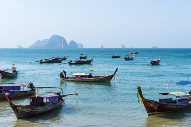 Birçok Tay uzun kuyruk otantik tekneler mavi deniz suyunda kıyıya yakın yüzer