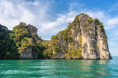 Suda tropikal yeşillik ile kaplı pitoresk kaya