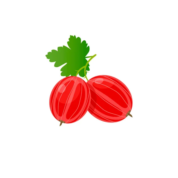 Red Gooseberry Vecltor Illustration Isolated White Background — Stock Vector