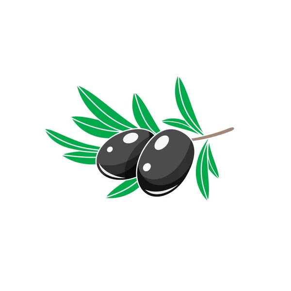 Branche Olives Noires Illustration Vectorielle Olive Noire Isolée Sur Fond — Image vectorielle