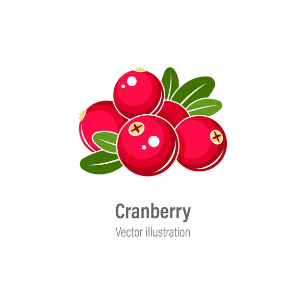 Cranberry Ilustração Vetorial Cranberries Vermelhas Com Folhas Verdes Isoladas Fundo —  Vetores de Stock