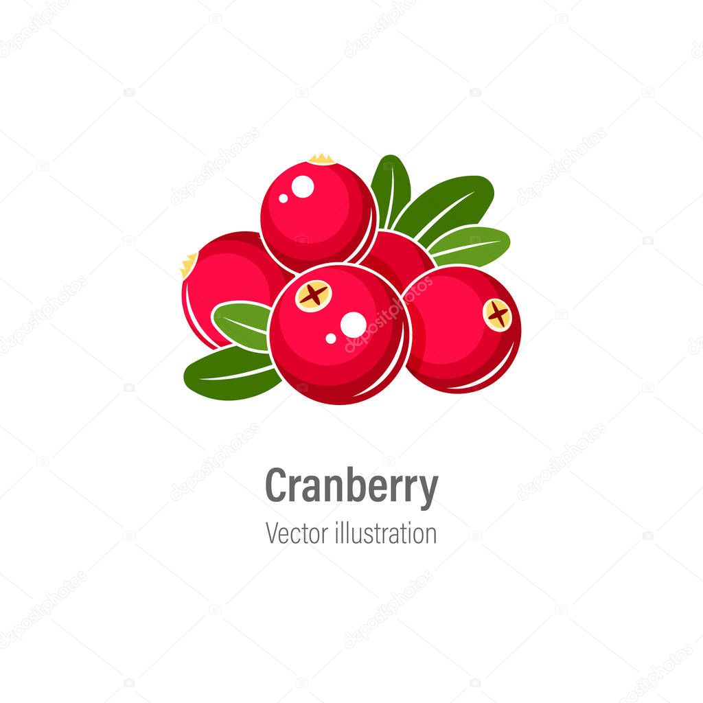 Cranberry vector illustration. Red cranberries with green leaves isolated on white background.