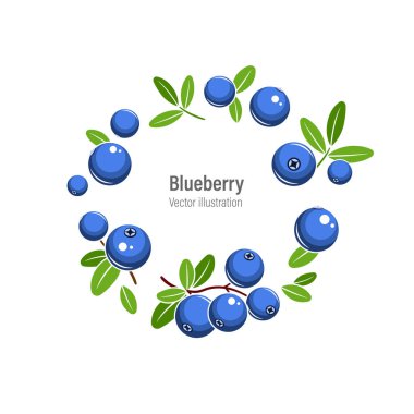 Yabanmersini çelenk vektör çizimi. Beyaz arka planda yeşil yapraklı mavi meyveler.
