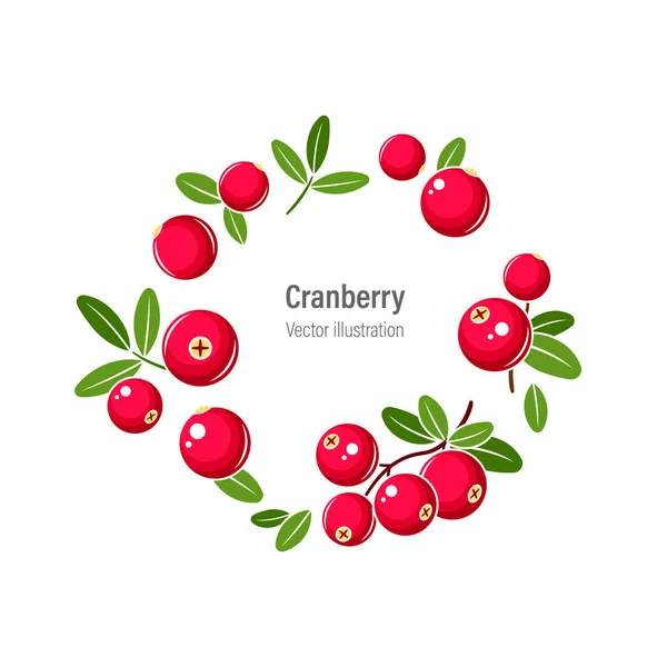 Cranberry Krans Vector Illustratie Rode Veenbessen Met Groene Bladeren Geïsoleerd — Stockvector