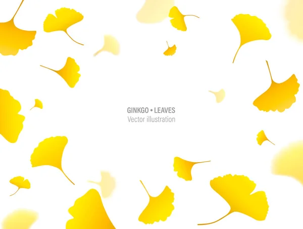 Herbst Hintergrund Mit Gelben Ginkgoblättern Vektorrahmen Japanischer Ginkgo Biloba Blätter — Stockvektor