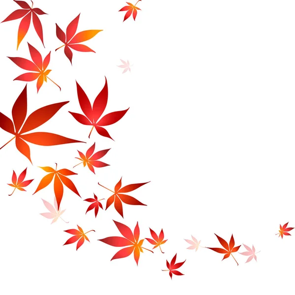 Red Maple Tree Leaves Vector Illustration Border Autumn Japanese Maple — Stock Vector