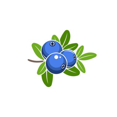 Yabanmersini vektör çizimi. Beyaz arka planda yeşil yapraklı mavi meyveler.