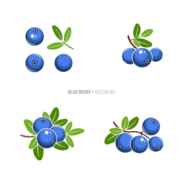 블루베리 일러스트 배경에 열매들 — 스톡 벡터