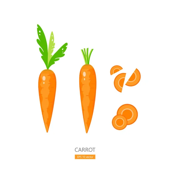 Carota Fresca Pezzi Tagliati Isolati Sfondo Bianco Eps Illustrazione Vettoriale — Vettoriale Stock