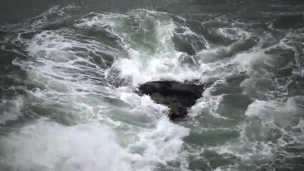 Costa Rocosa Mar Negro Bulgaria Tyulenovo — Vídeo de stock