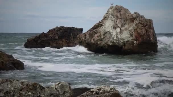 在陡峭的海岸上 海上有一阵强烈的风暴 海浪拍打着石头 白色的泡沫 保加利亚 — 图库视频影像
