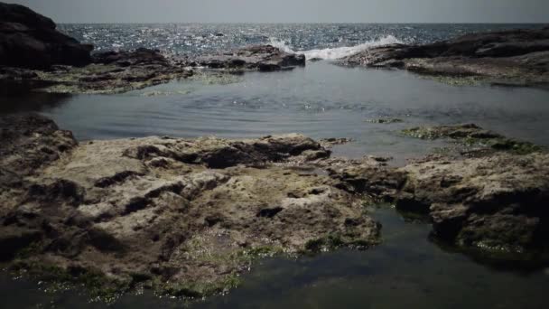 Kustbad Stenig Strand Nära Vattnet Svarta Havet Bulgarien — Stockvideo
