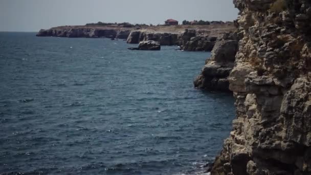 Joshua Tree Paysage Yucca Brevifolia Mojave Desert Joshua Tree National Park. Californie 