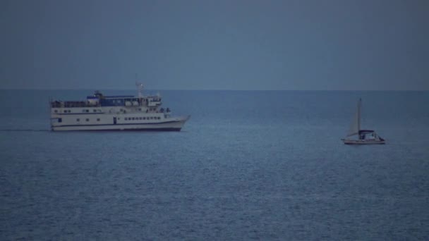 Fische Aus Dem Schwarzen Meer Europäische Flunder Platichthys Flesus — Stockvideo