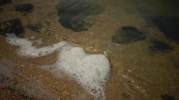 Poissons de la mer Noire. Plie rouge (Platichthys flesus) )