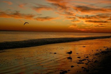 Güzel kırmızı günbatımı, plaj, New York, Brighton Plajı