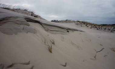 Ada Beach State Park. Kum tepeleri millik 
