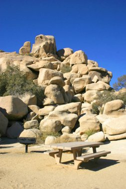 Joshua Tree National Park, Mojave Desert, California