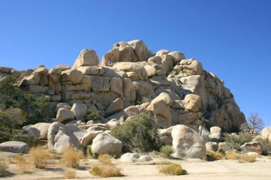 Joshua Tree National Park, Mojave Desert, California