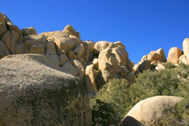 Joshua Tree National Park, Mojave Desert, California