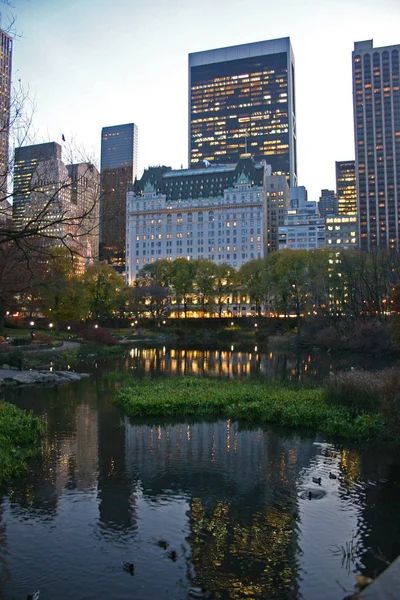 Estados Unidos Nueva York Noviembre 2009 Vista Los Rascacielos Luminosos —  Fotos de Stock