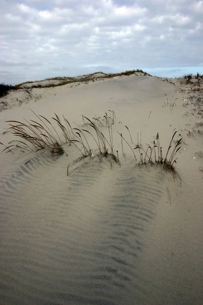 岛屿海滩州立公园 数英里的沙丘 — 图库照片