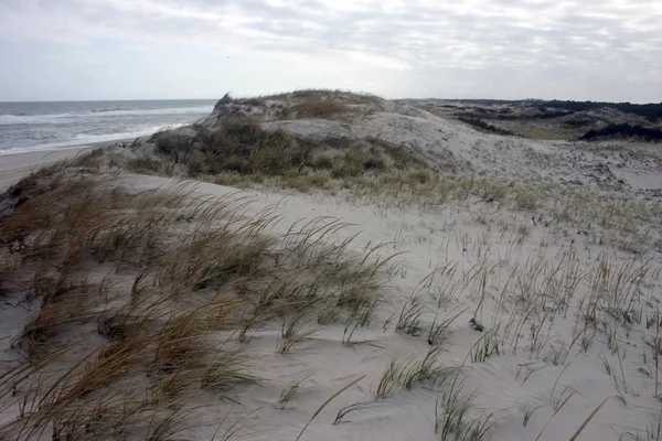 Island Beach State Park Des Kilomètres Dunes Sable — Photo