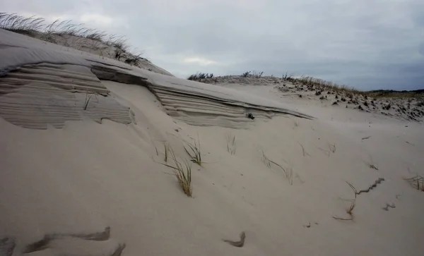 Island Beach State Park Miles Sand Dunes — Stock Photo, Image