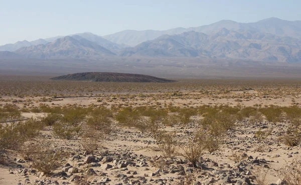 Stany Zjednoczone Kalifornia Park Narodowy Doliny Śmierci Pustynia Roślinność — Zdjęcie stockowe