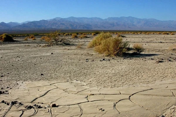Terre Fissurée Argile Sèche Désert Dans Vallée Des Montagnes États — Photo