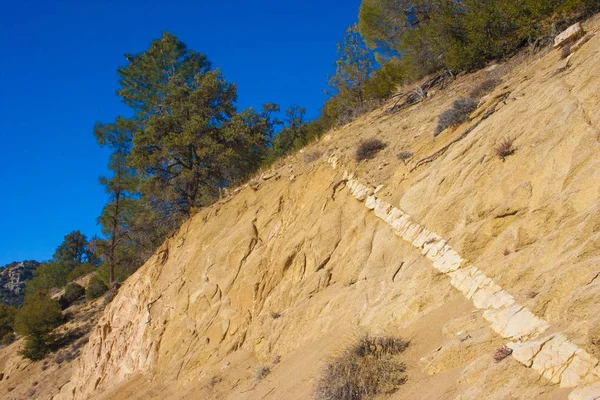 Деревних Трав Янистих Рослин Sierra Nevada Гори Каліфорнія Сша Сьєрра — стокове фото