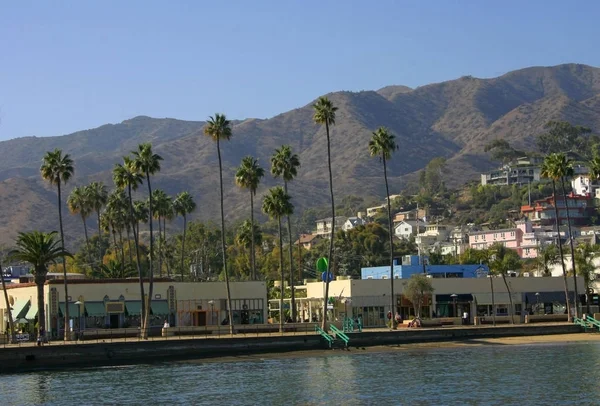 Eua Califórnia Ilha Catalina Novembro 2009 Vista Cidade Avalon Marinas — Fotografia de Stock