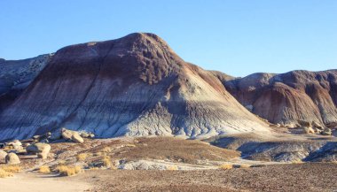 Renkli katmanları, renkli kil dağlar, taşlaşmış orman Milli Parkı, mavi Mesa, Az, ABD