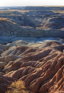 Renkli kil dağlar, taşlaşmış orman Milli Parkı, mavi Mesa, Az, ABD