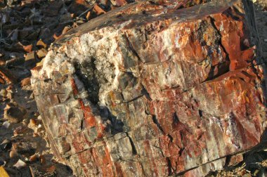 Manzara fotoğrafını bazı ağaçlar ve dağlar taşlaşmış orman Milli Park Arizona taşlaşmış. Taşlaşmış günlükleri görünümünü