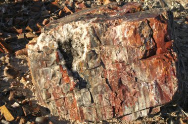 Manzara fotoğrafını bazı ağaçlar ve dağlar taşlaşmış orman Milli Park Arizona taşlaşmış. Taşlaşmış günlükleri görünümünü