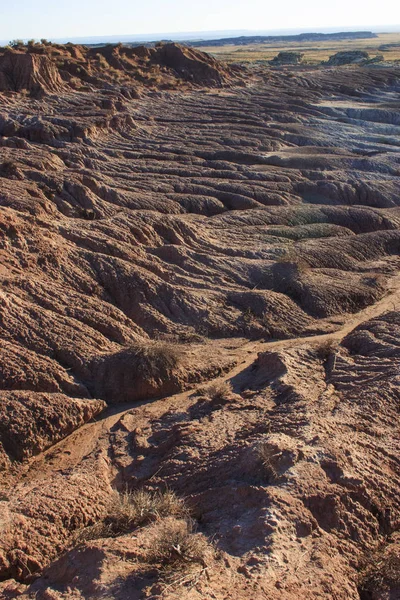 Färgglada Lera Bergen Petrified Forest National Park Blue Mesa Usa — Stockfoto