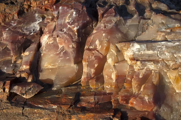 Formação Geológica Com Petrificação Toras Durante Mineralização Pré Histórica Floresta — Fotografia de Stock