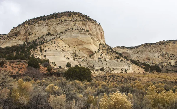 Formacje Skalne Wielobarwny Żółty Pół Pustynia Roślinność Arizona — Zdjęcie stockowe