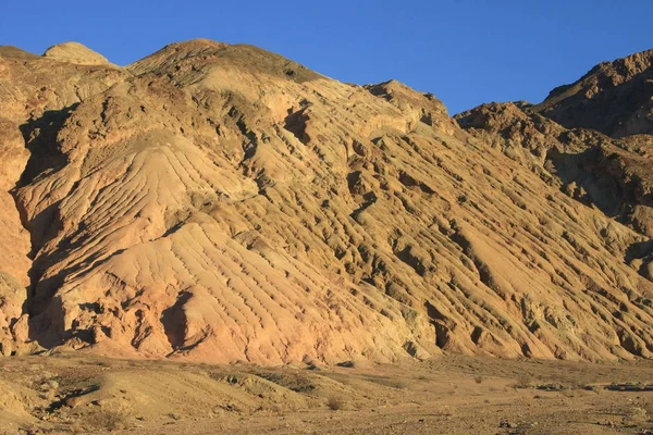 Bunte Schichten Bunte Lehmberge Versteinerter Wälder Nationalpark Blue Mesa Usa — Stockfoto