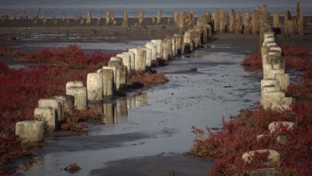 Vieilles Structures Bois Extraction Sel Xviiie Siècle Mer Noire Estuaire — Video