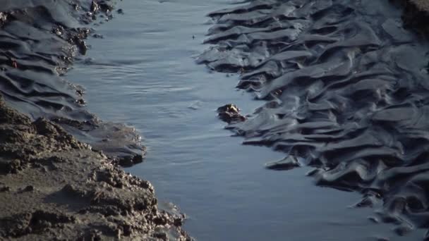 Ucraina Kuyalnik Liman Acqua Fuoriesce Dai Bagni Fango Sfocia Nel — Video Stock