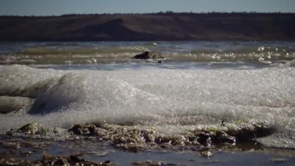Smutsigt Skum Vattnet Och Stranden Övergödning Förorening Dammen Ekologiska Problem — Stockvideo