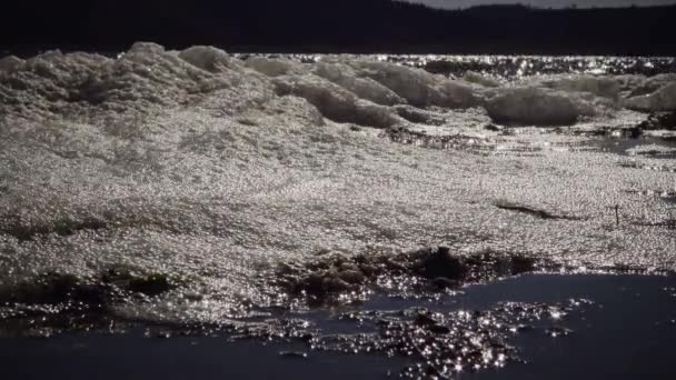 Suda Deniz Kıyısında Kirli Köpük Ötrofikasyon Rezervuarın Kirliliği Ekolojik Sorun — Stok video