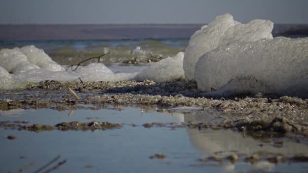 水と海岸の汚れた泡 富栄養化 貯水池の汚染 生態系の問題 黒海Tyligul河口 — ストック動画