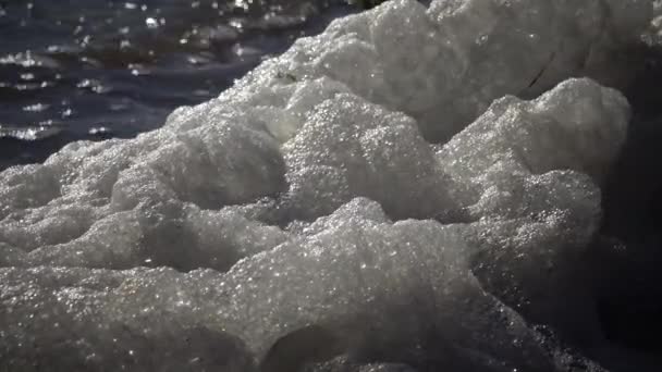 Schmutziger Schaum Auf Dem Wasser Und Der Küste Eutrophierung Verschmutzung — Stockvideo